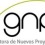Gestora De Nuevos Proyectos