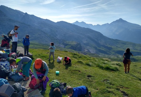 Imatge de capçalera de ¡Ayúdanos a mejorar nuestra Escuela Bosque!