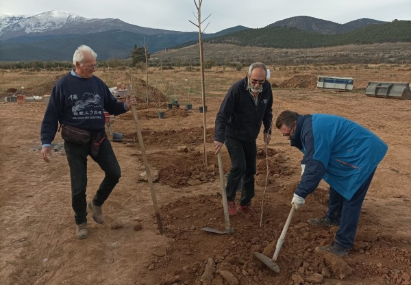 Imatge de capçalera de Sombra para el Ecocamping Las Viñas