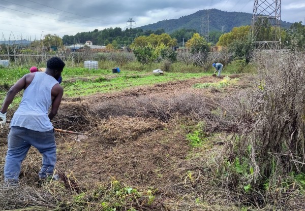 Imatge de capçalera de Planta la teva llavor