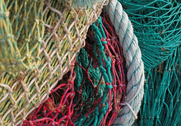 Imatge de capçalera de Gregal Ecodesign - Ropa de baño hecho con redes y plásticos extraídos del fondo del mar