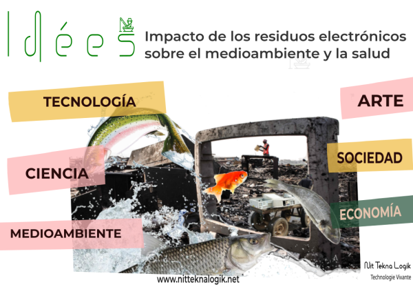 Imatge de capçalera de IDEES