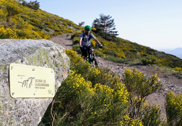 Imatge de capçalera de ¿Quieres seguir montando en bici por el P.N. de la Sierra de Guadarrama?