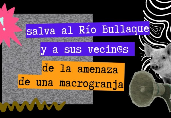 Imatge de capçalera de No a la Macrogranja en el Río Bullaque