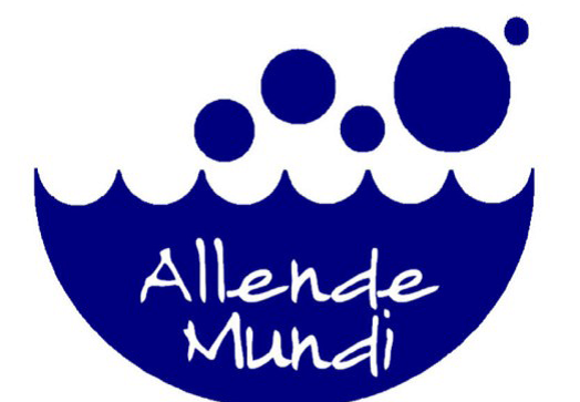 Imatge de capçalera de Proyecto Educativo de Allende Mundi 2023