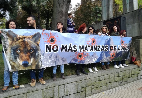 Imatge de capçalera de Solidaridad con Xurde en Defensa del Lobo