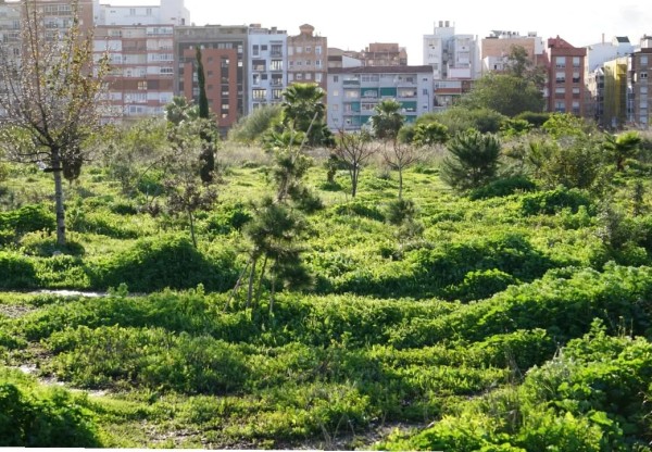 Imatge de capçalera de Bosque Urbano Málaga