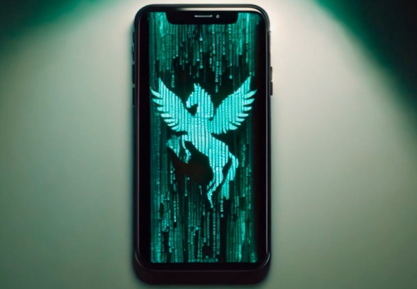 Imatge de capçalera de Irídia vs Pegasus