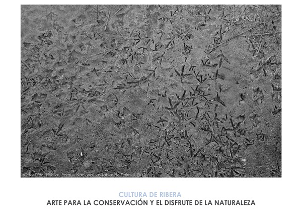 Imatge de capçalera de I Jornadas Arte, Ecología y Uso Público de Espacios Naturales Protegidos