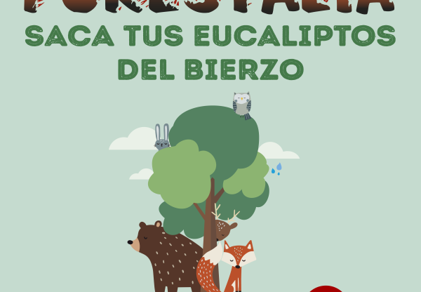 Imatge de capçalera de Forestalia, ¡saca tus eucaliptos del Bierzo!
