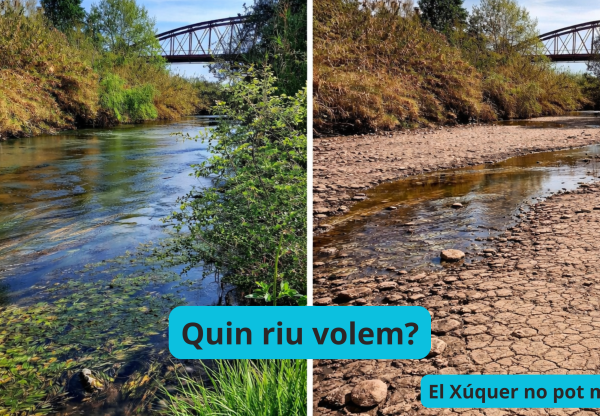Imatge de capçalera de Defensem el Xúquer!  No a l'espoli del Xúquer i l'Albufera!