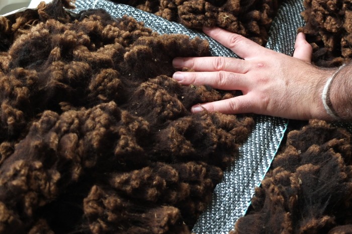 Comenzamos el procesado de la lana sustentable ¡gracias por tu apoyo!