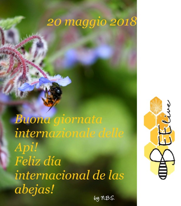 día de llas abejas!