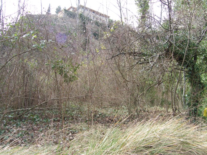 p2240015.jpg