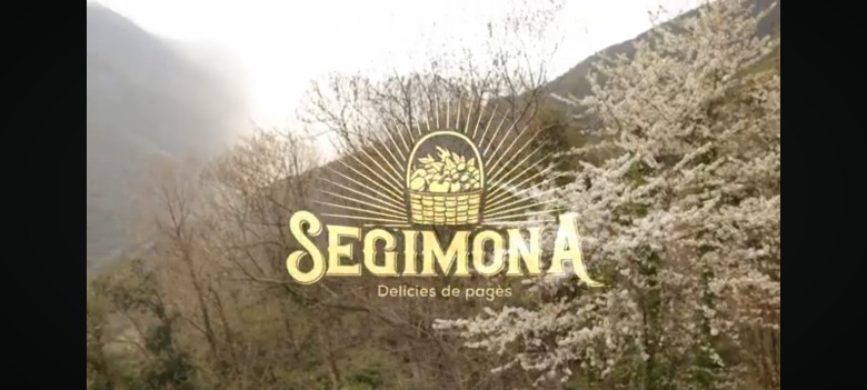 Imatge de capçalera