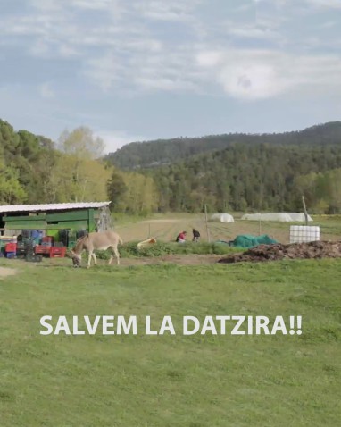 Imatge de capçalera