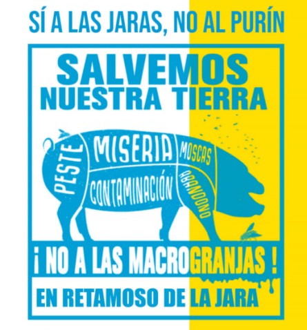 Imatge de capçalera