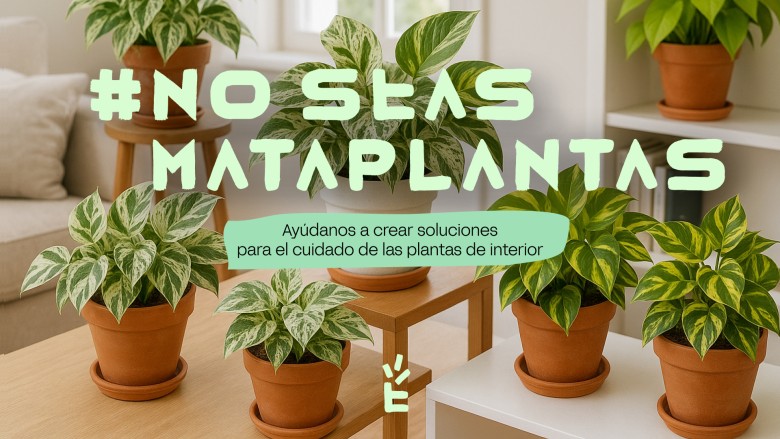 Imatge de capçalera