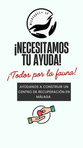 Imatge de capçalera